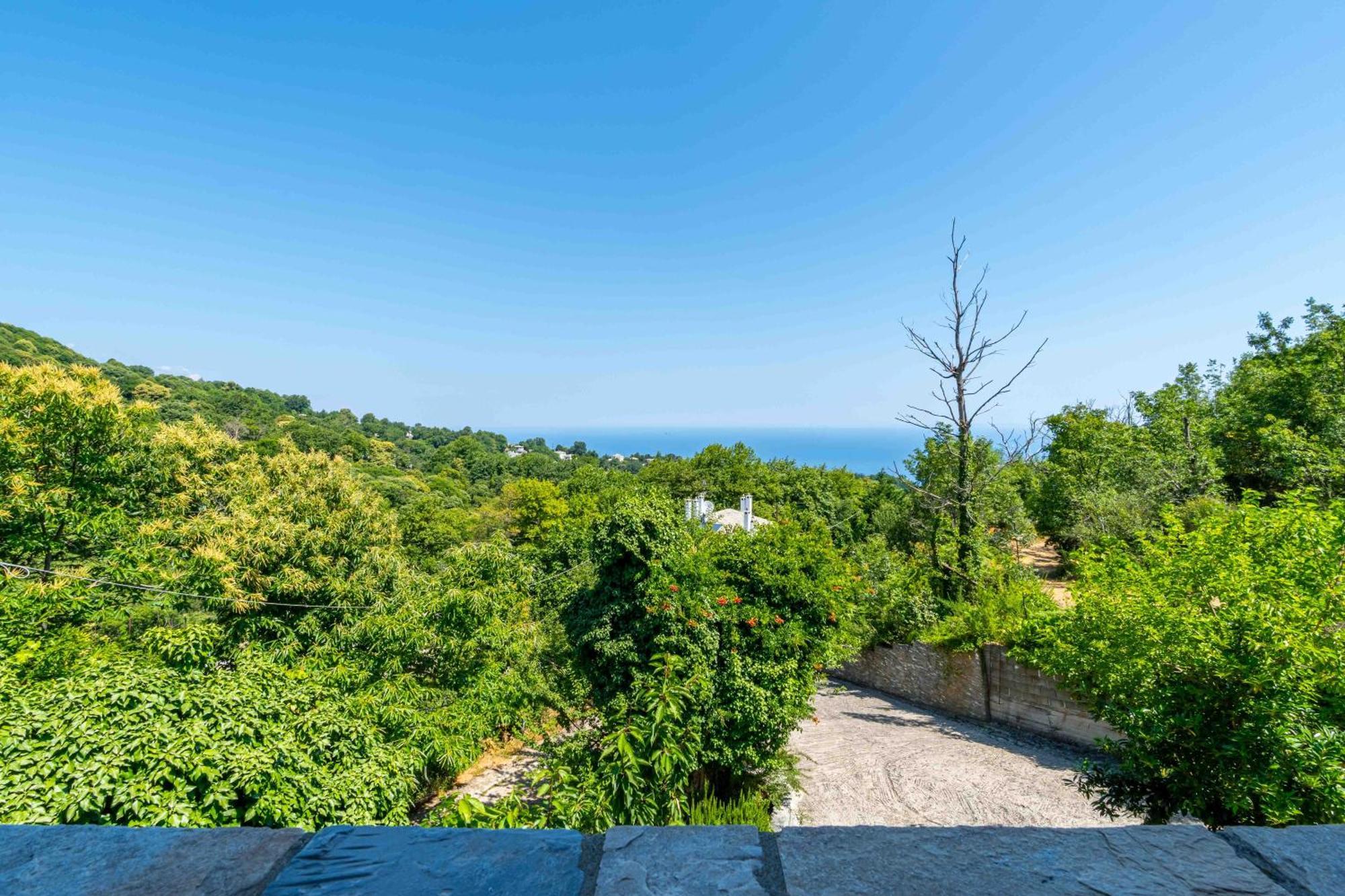 Guesthouse Papachristou Tsagkarada Buitenkant foto